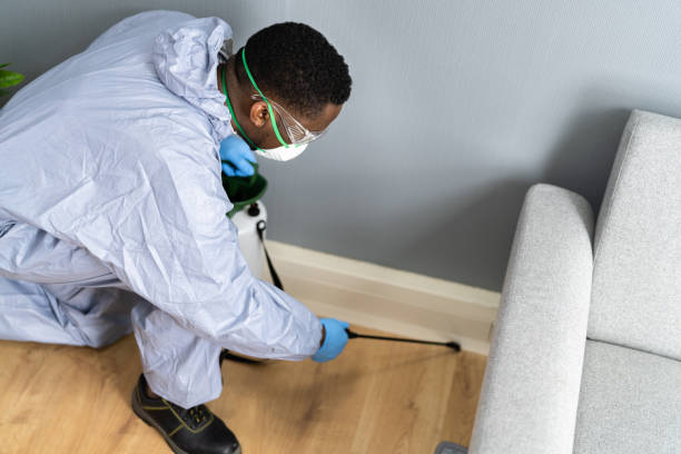 Best Residential Pest Control  in Mingo Junction, OH